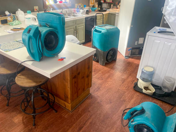 Best Mold removal after water damage  in Coatesville, PA