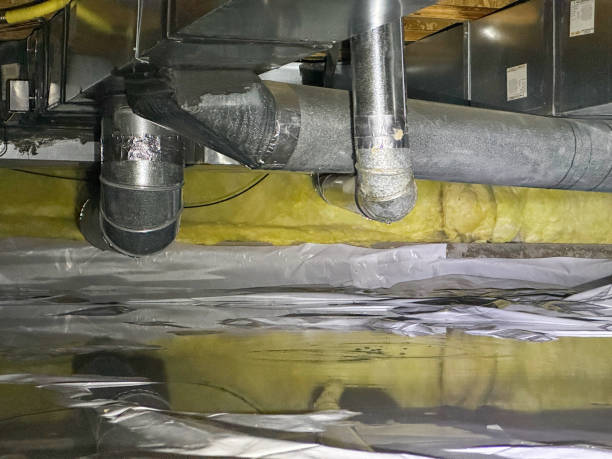 Best Water damage cleanup near me  in Coatesville, PA